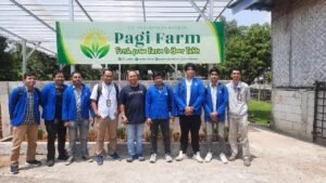 Dokumentasi: Kegiatan PkM Tim Universitas Pertamina yang dilakukan oleh dosen beserta mahasiswa di pertanian modern PagiFarm, Bogor, Jawa Barat