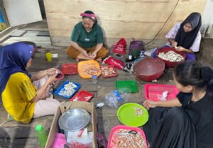 Dok: Warga pesisir Teluk Aru bekerja sama mengupas kepiting hasil tangkapan. Penelitian Universitas Pertamina menyoroti pentingnya diversifikasi pengolahan hasil laut sebagai jaring pengaman ekonomi saat musim paceklik melanda.