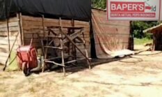 berita-pilihan-foto